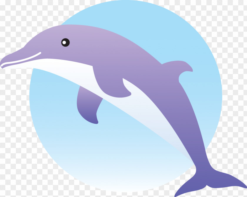 Dolphin Common Bottlenose Short-beaked Tucuxi Wholphin Rough-toothed PNG