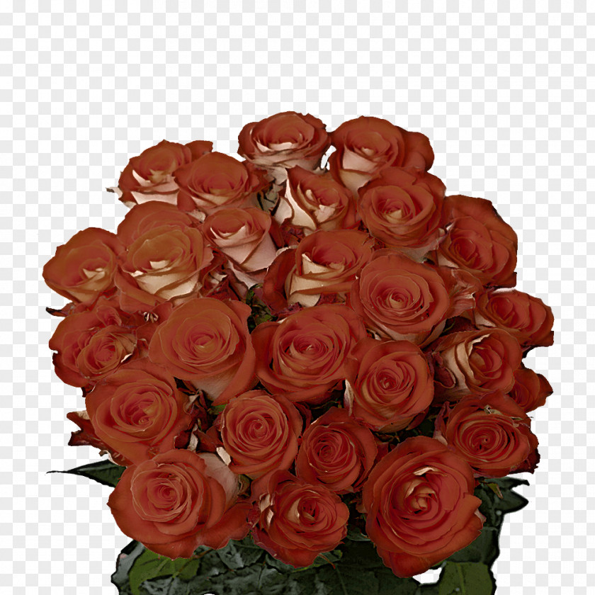 Garden Roses PNG