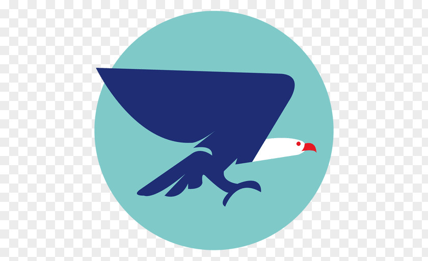 Isolated Vector Eagle PNG