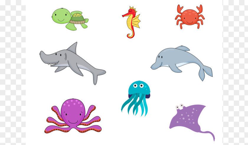 Picture Of Ocean Animals Shark Animal Sea Lion Clip Art PNG