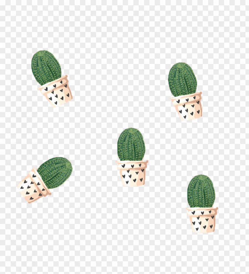 Prickly Pear Float Barbary Fig Cactaceae Gratis PNG