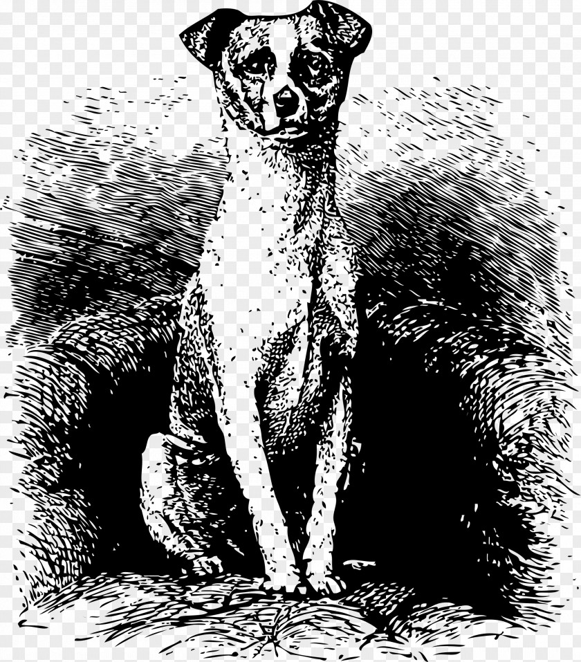 The Cat Sitting On Chair Dog Line Art Drawing PNG