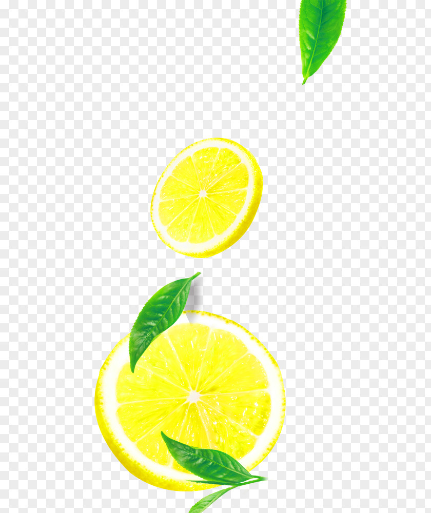 Yellow Fresh Lemon Leaves Floating Material Tea Juice Lime PNG