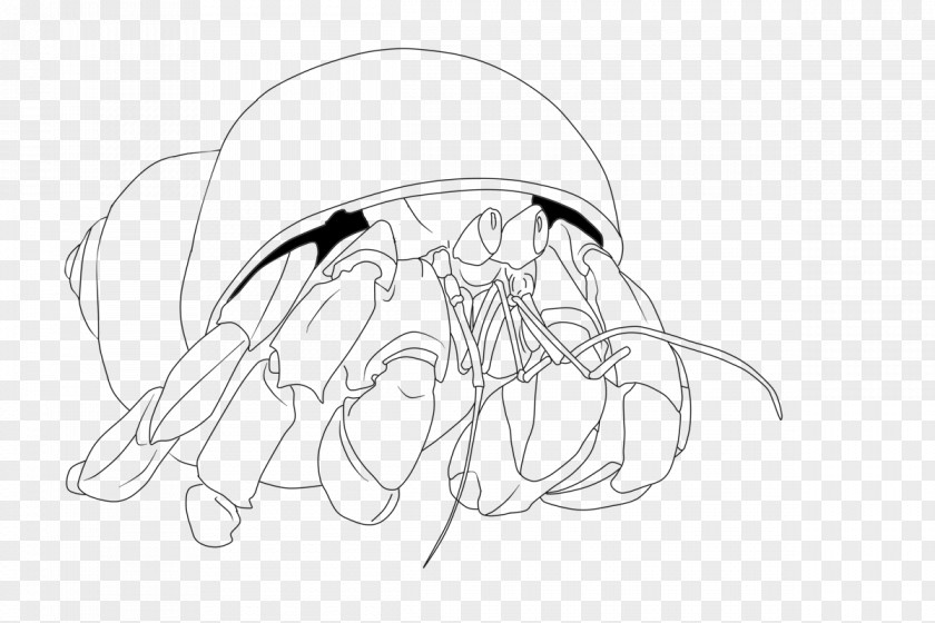Crab A House For Hermit Coloring Book PNG