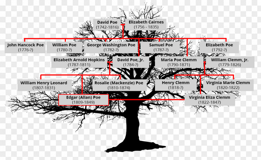 Family Tree Diagram Analysis PNG