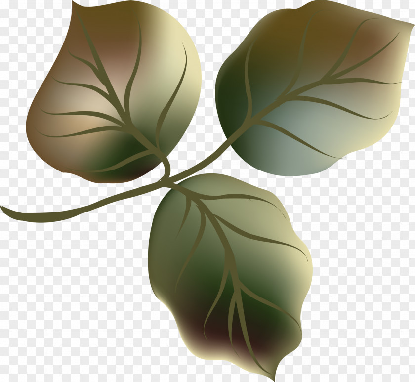 Fresh Green Leaves Leaf Clip Art PNG