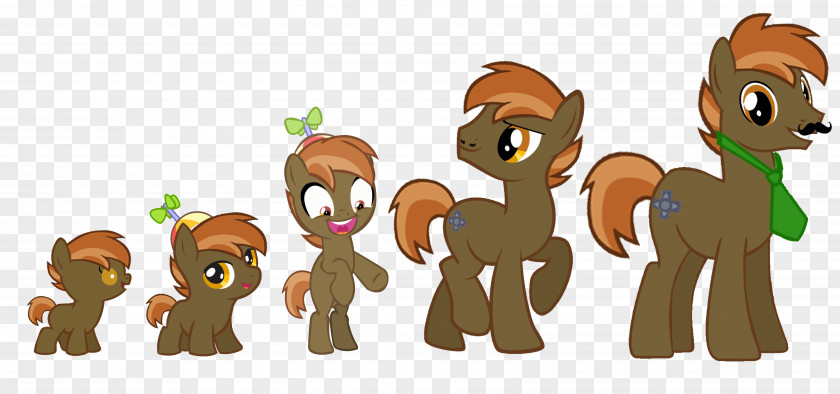 Horse Pony Cutie Mark Crusaders Cartoon PNG