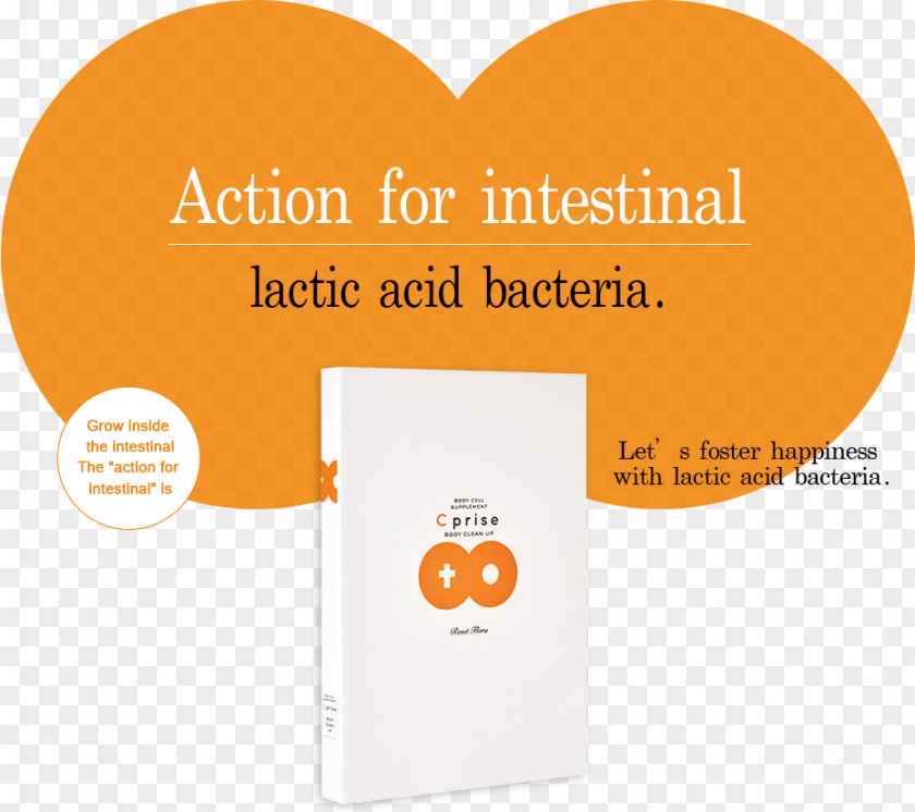 Lactobacillales 乳酸菌 Dietary Supplement Lactic Acid Bacteria PNG