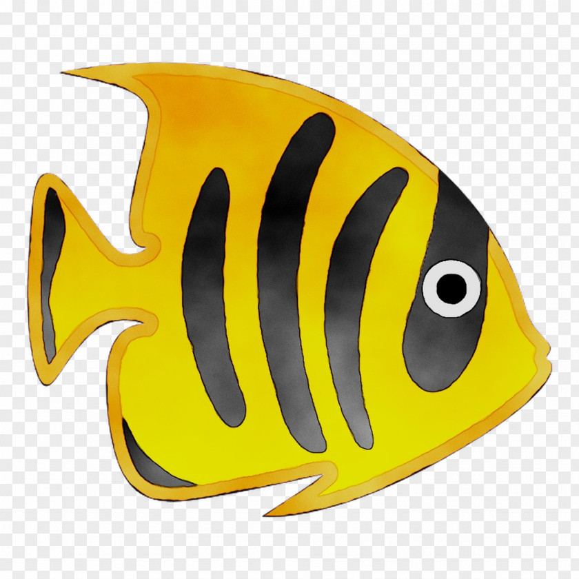Yellow Marine Biology Product Design PNG