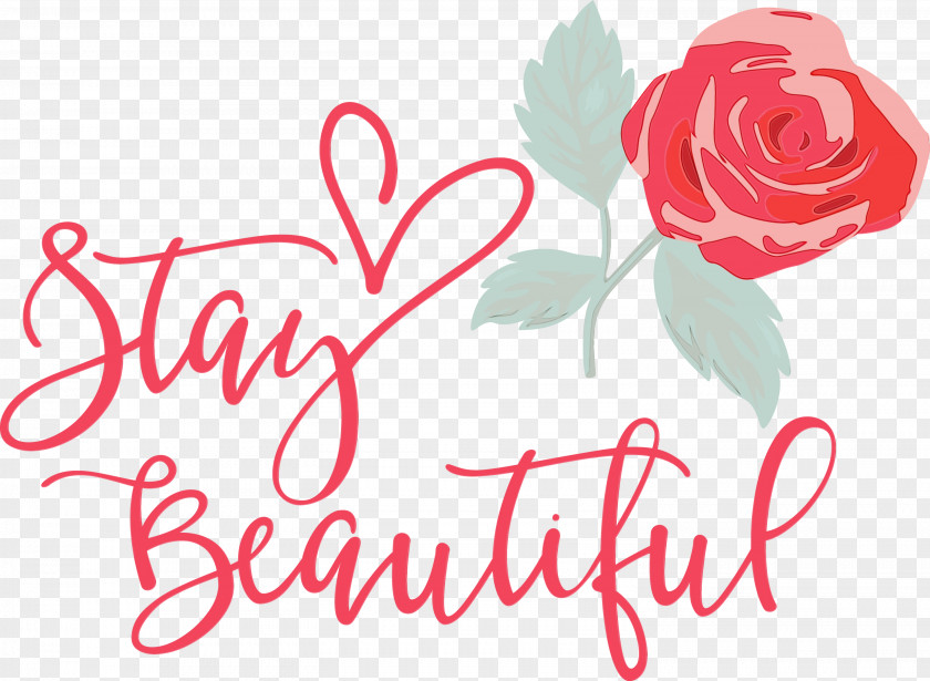 Icon Stay Beautiful Cricut Beauty PNG
