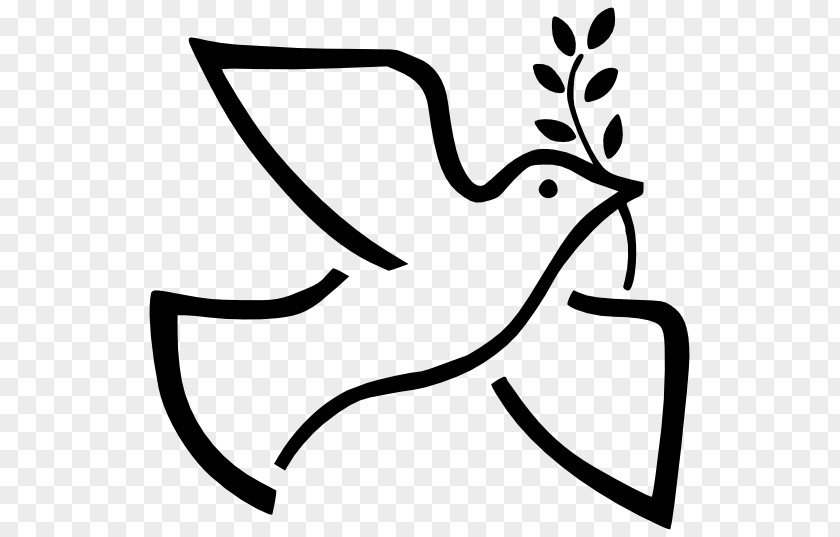 Symbol Peace Symbols Doves As Olive Branch PNG