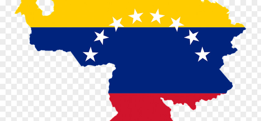 Various Angles Flag Of Venezuela Economy Social Media Economics PNG