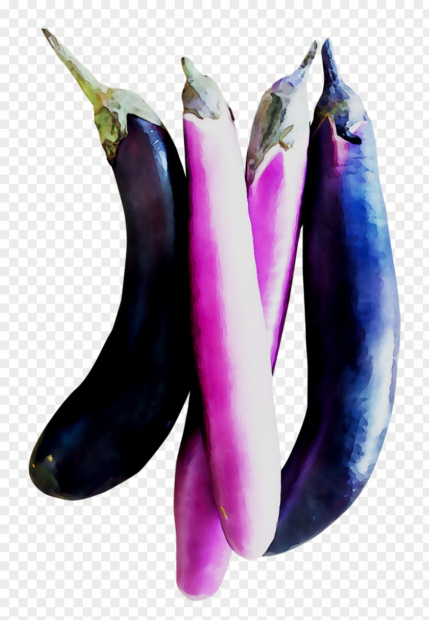 Vegetable Purple PNG
