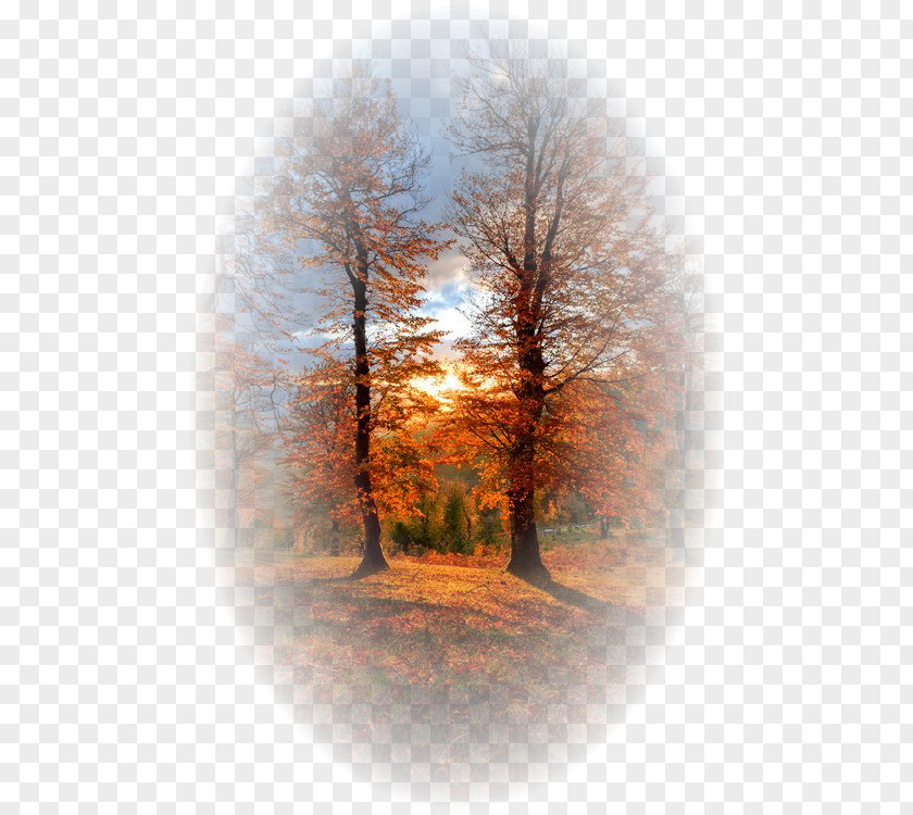 Autumn Landscape Photography Nature PNG