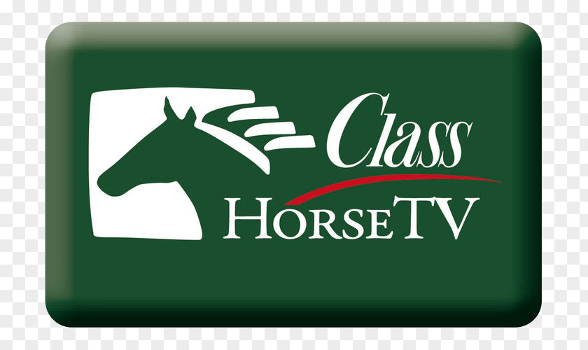 Horse Hd ClassHorseTV Icelandic Television Channel Sky Sport PNG