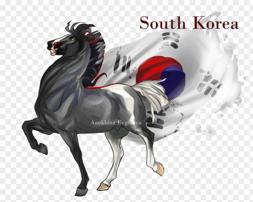 Horse Stallion South Korea DeviantArt PNG