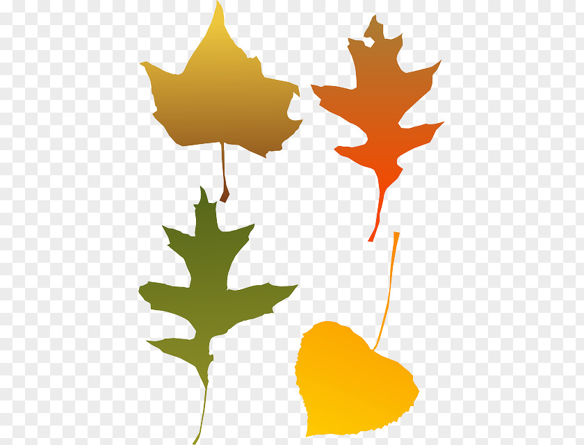 Orange Leaves Autumn Leaf Color Clip Art PNG