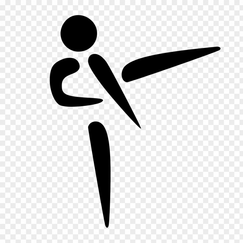 Pictogram Silat Sport Chinese Character Classification Pencak PNG