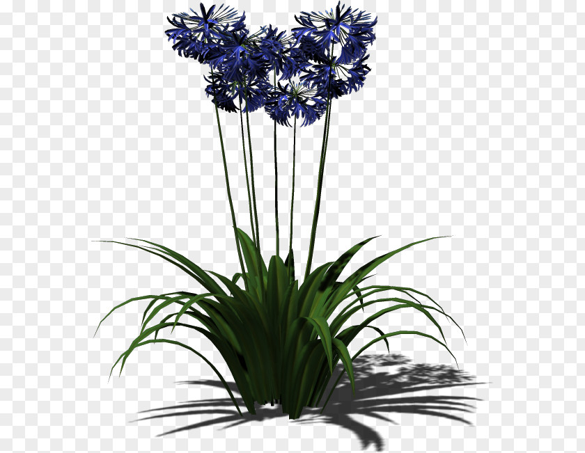 Plant Floral Design Flowerpot Cut Flowers PNG