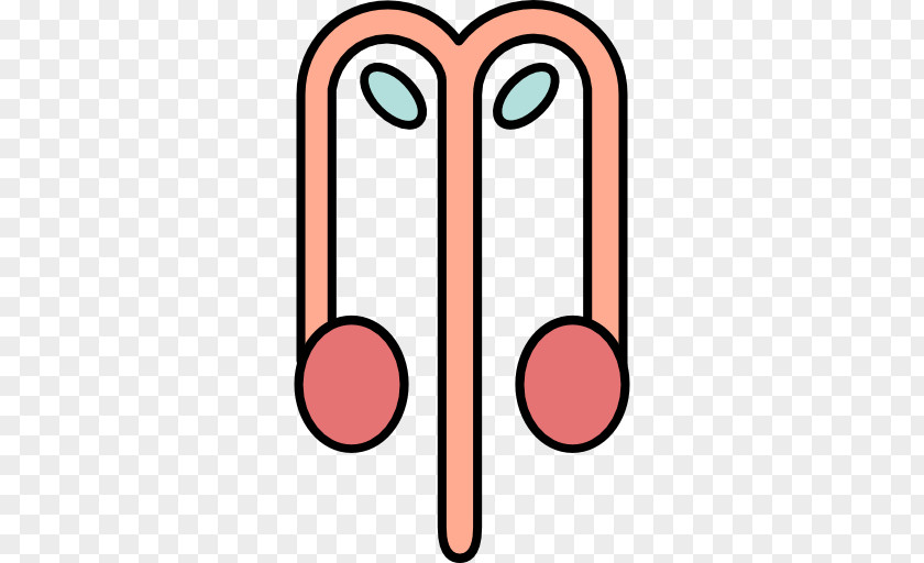 Reproductive System Urolife- Holistic Kidney Care & Stone Clinic Urology Surgery PNG