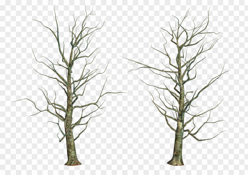 Share Tree Branch Twig Trunk PNG