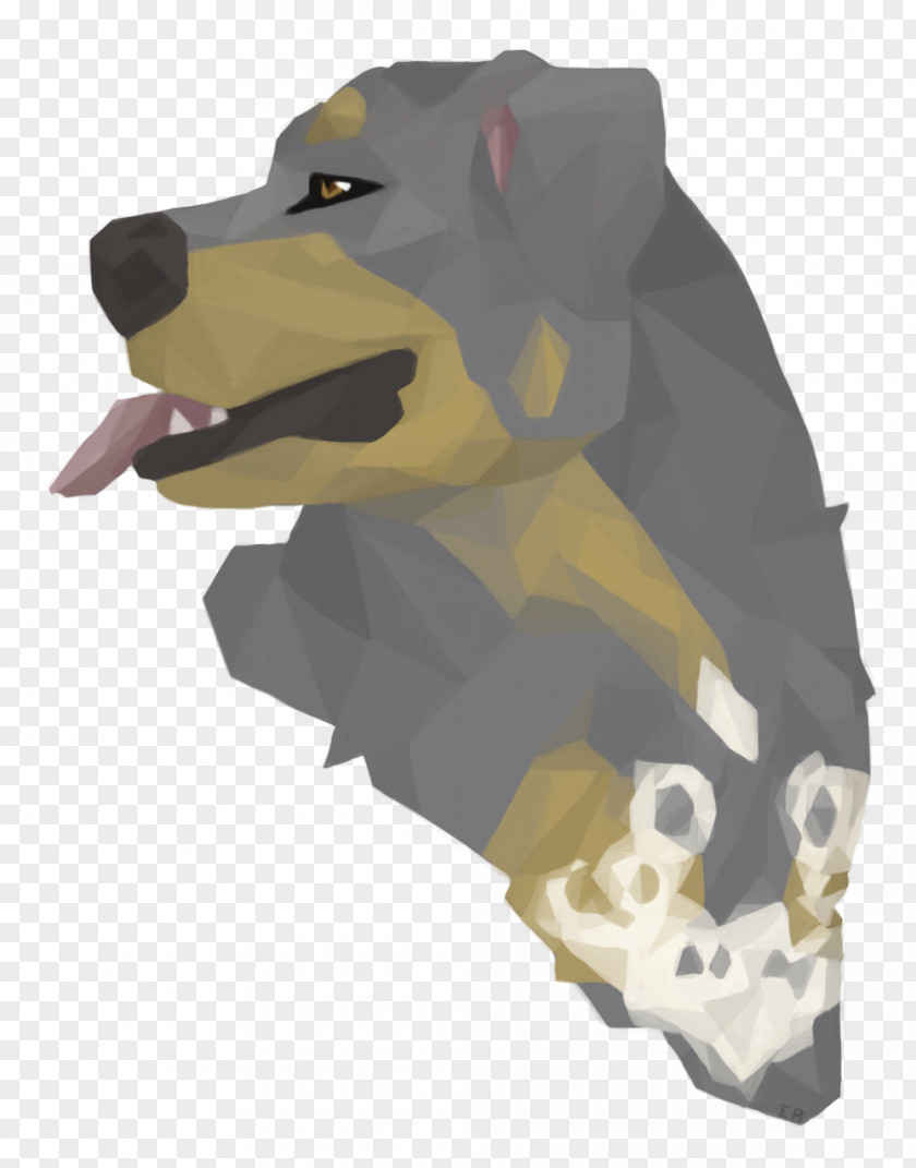 Bear Canidae Dog Snout Mammal PNG