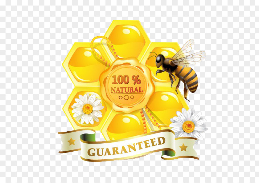 Bees And Honey Bee Organic Food Honeycomb PNG