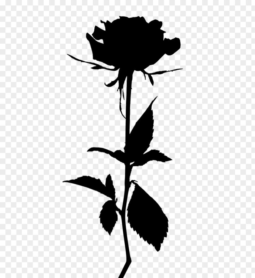 Clip Art Rose Image Transparency PNG