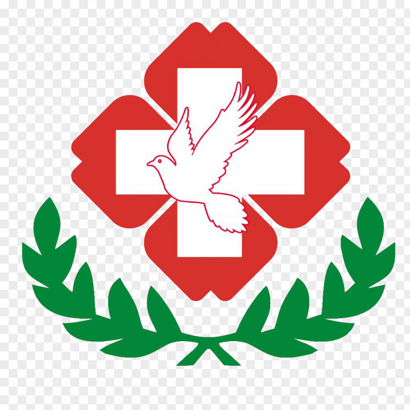 Hospital Sign Image Logo Design PNG