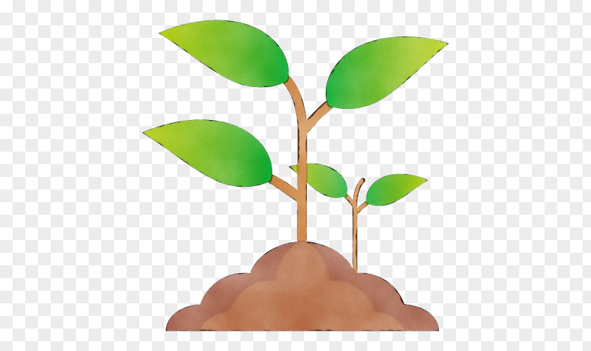 Plant Stem Dice Plants Leaf Science PNG