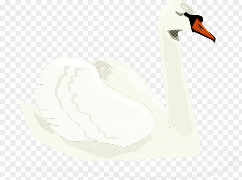 Stork Tundra Swan Water Cartoon PNG
