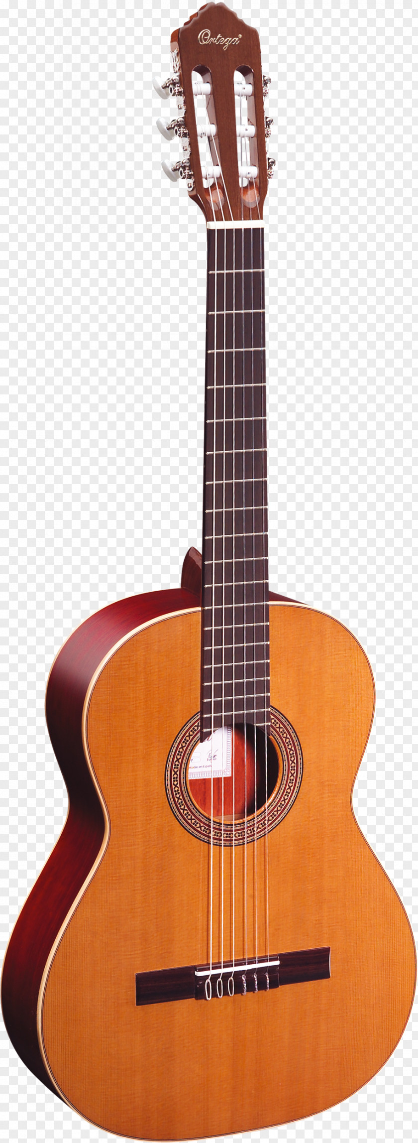 Amancio Ortega Acoustic-electric Guitar Classical Steel-string Acoustic PNG