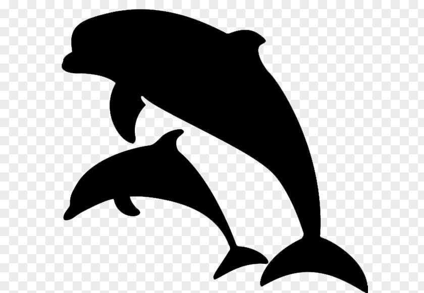 Clip Art Dolphin Illustration Image Drawing PNG