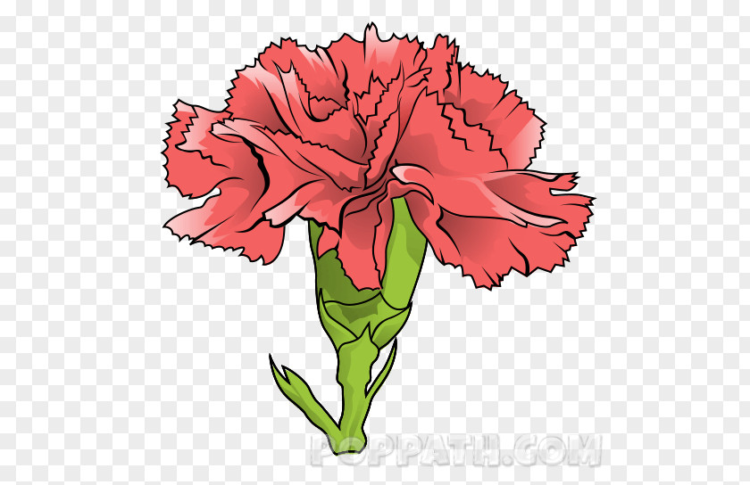 Flower Carnation Floral Design Garden Roses Cut Flowers Clip Art PNG