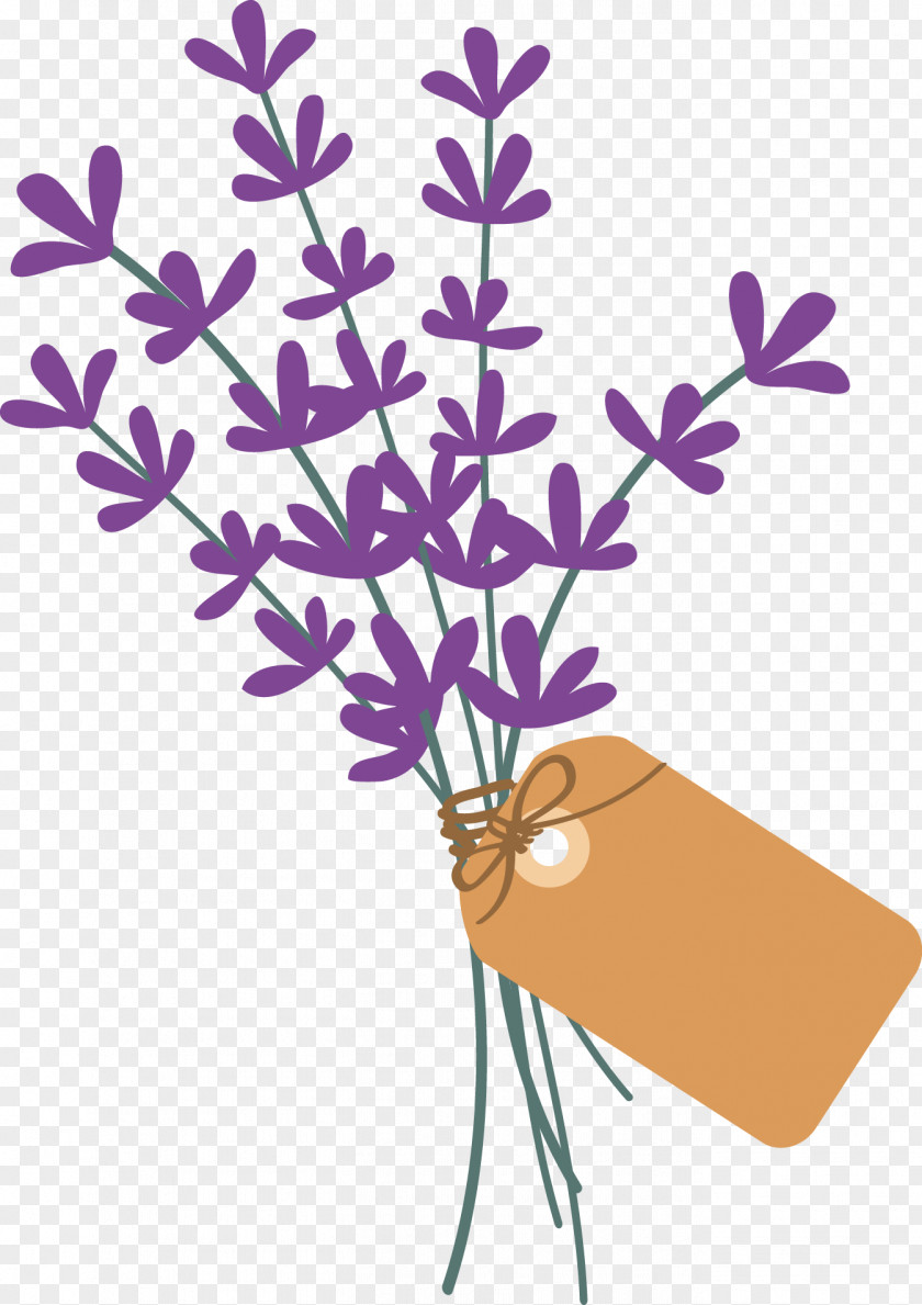 Lavender Plant Stem Violet Petal Lamiaceae PNG