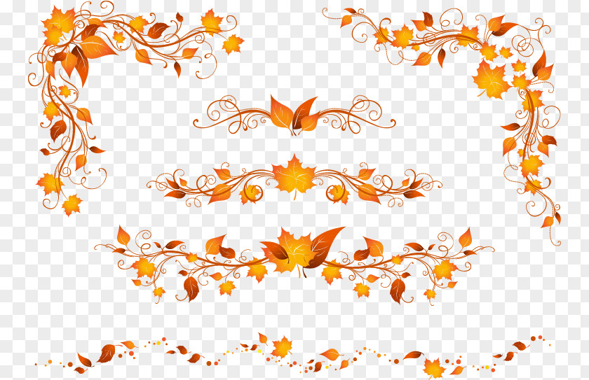 Maple Leaf Pattern Autumn Color PNG