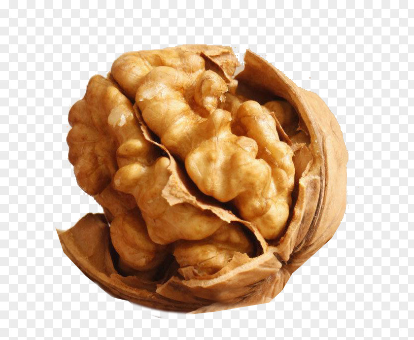 Walnut Photography Figure Food PNG