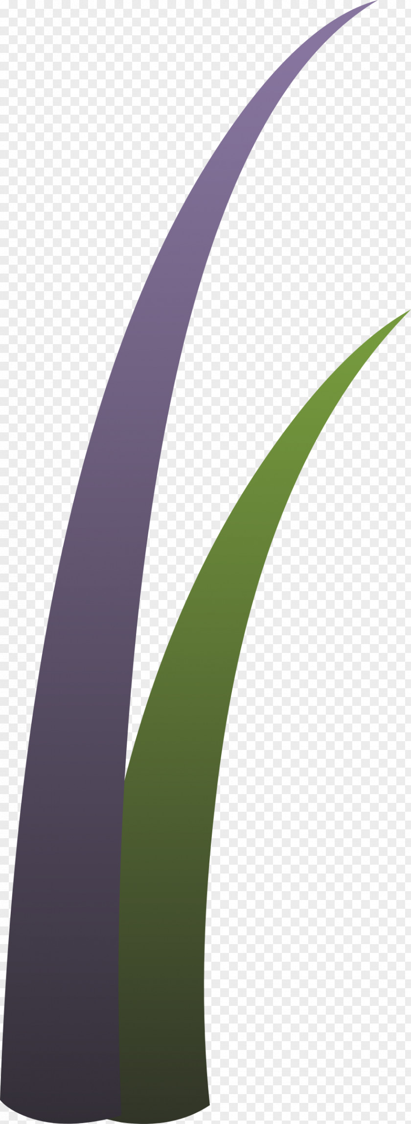 Grass Clip Art PNG