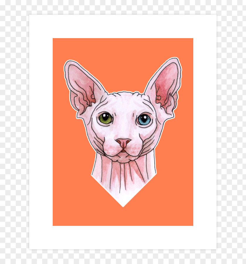 Kitten Sphynx Cat Whiskers Domestic Short-haired Sticker PNG