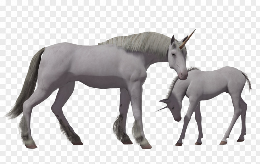 Unicorn Horse Download PNG