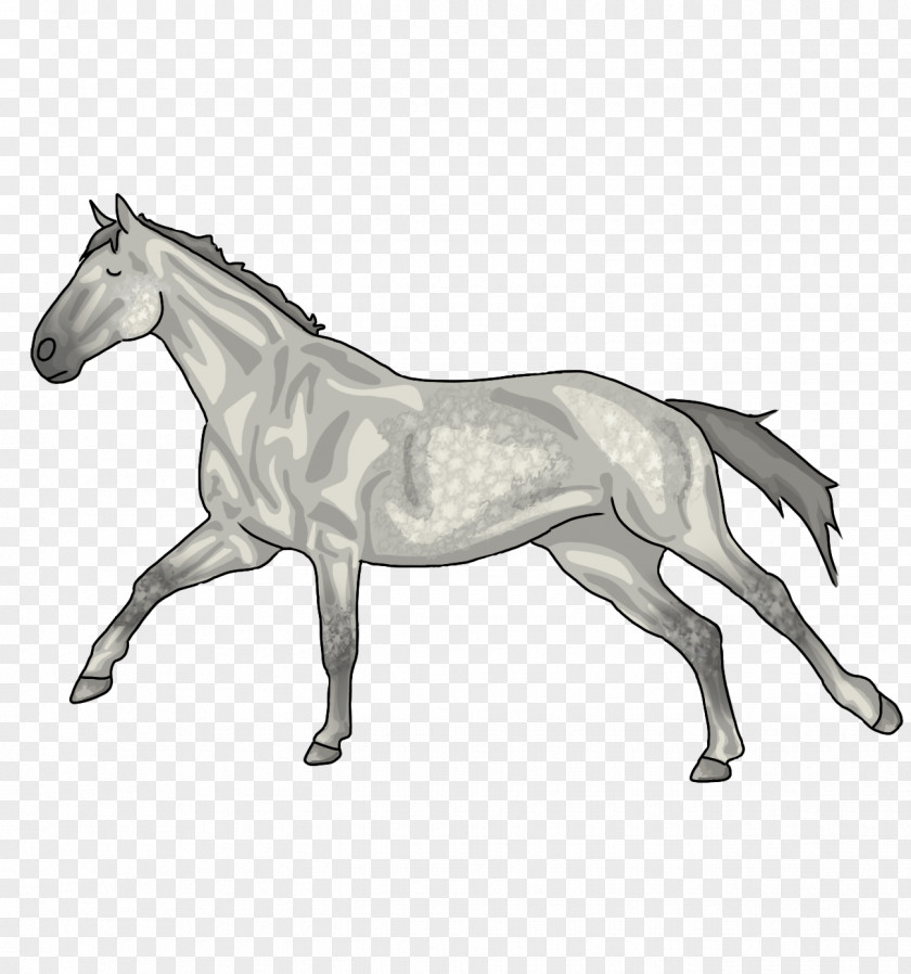 Asap Graphic Foal Mane Mustang Stallion Mare PNG