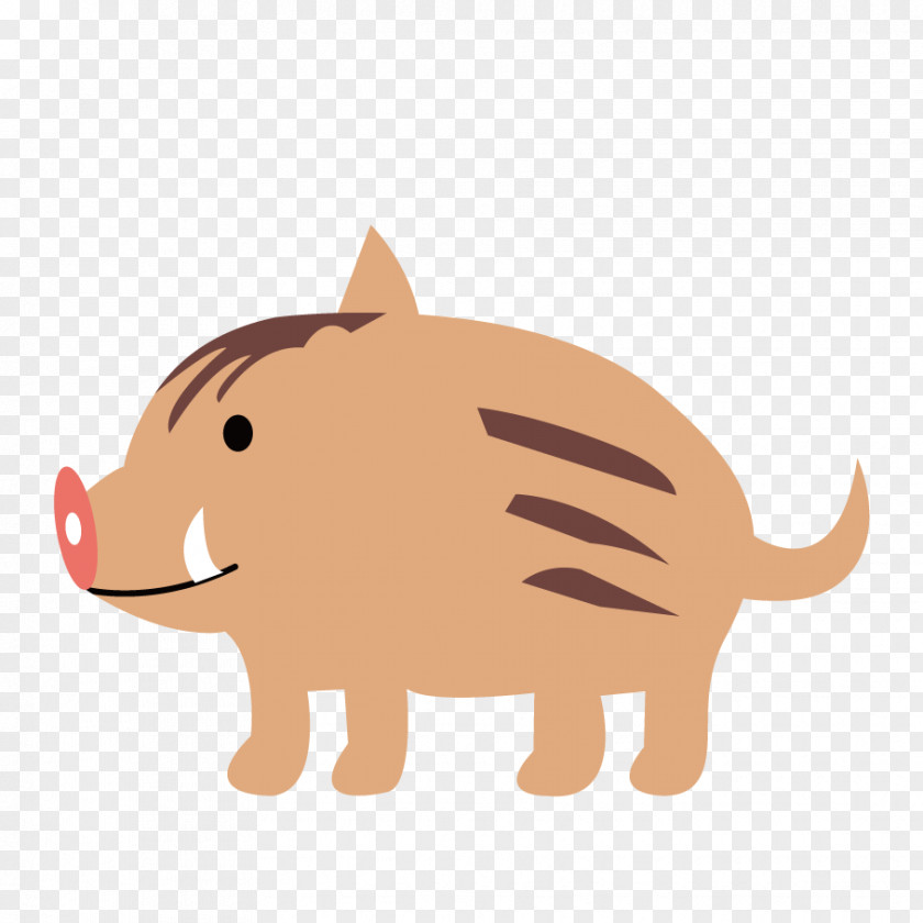 Children Illustrations Wild Boar Illustration Whiskers Clip Art Mammal PNG