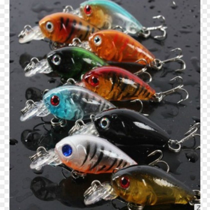 Fishing Baits & Lures Reels PNG