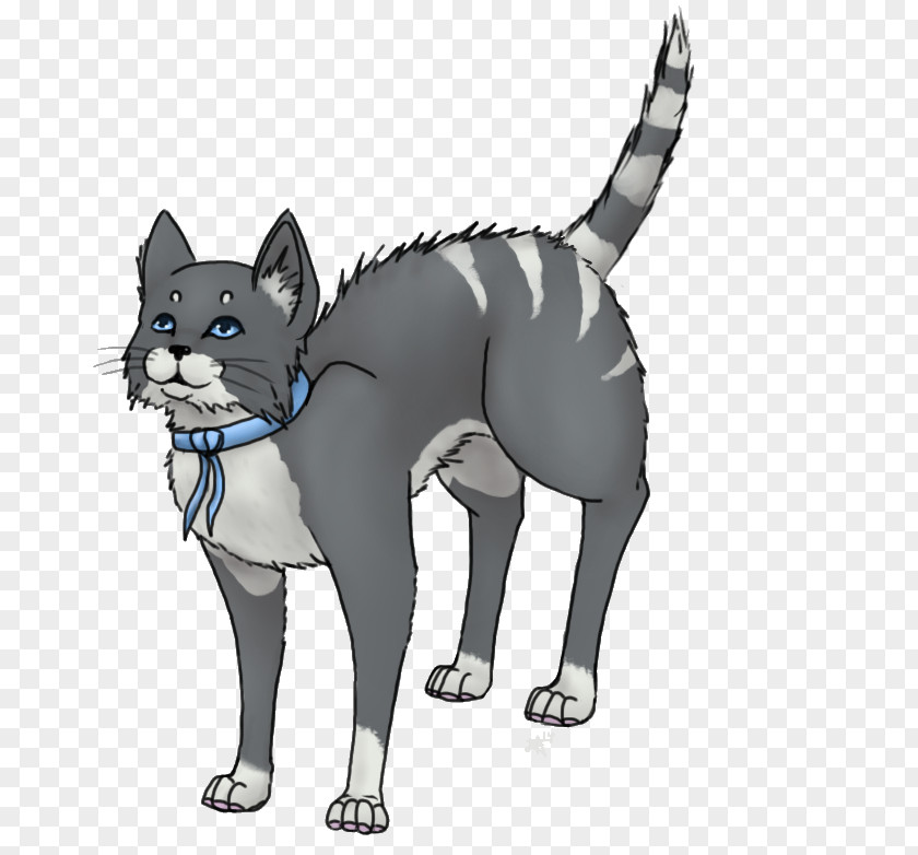 Kitten Whiskers Dog Cat PNG