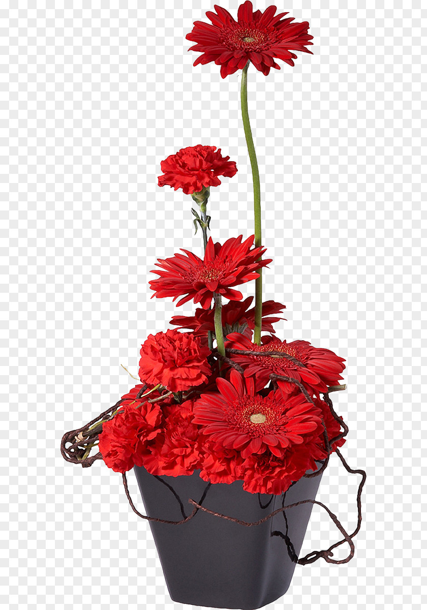 Potted Flowerpot Flower Bouquet Red Bonsai PNG