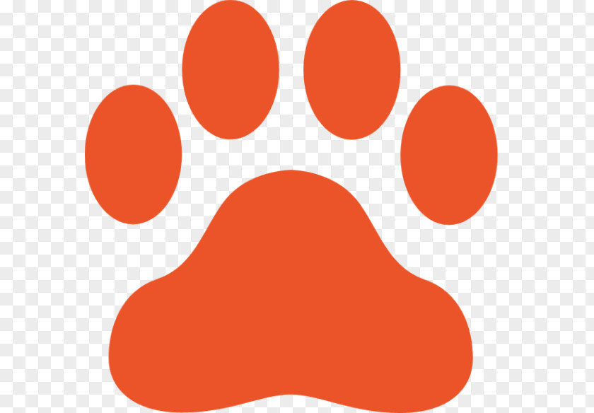 Bear Black Panther Cat Claw Paw PNG