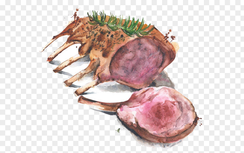 Meat Game Lamb And Mutton Agneau Watercolor Painting PNG