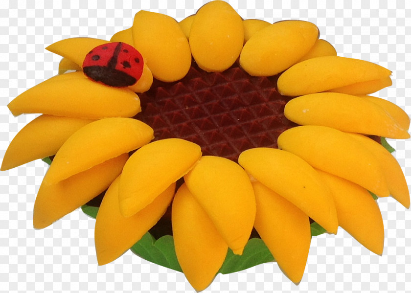 Sunflower Cupcakes Fruit PNG
