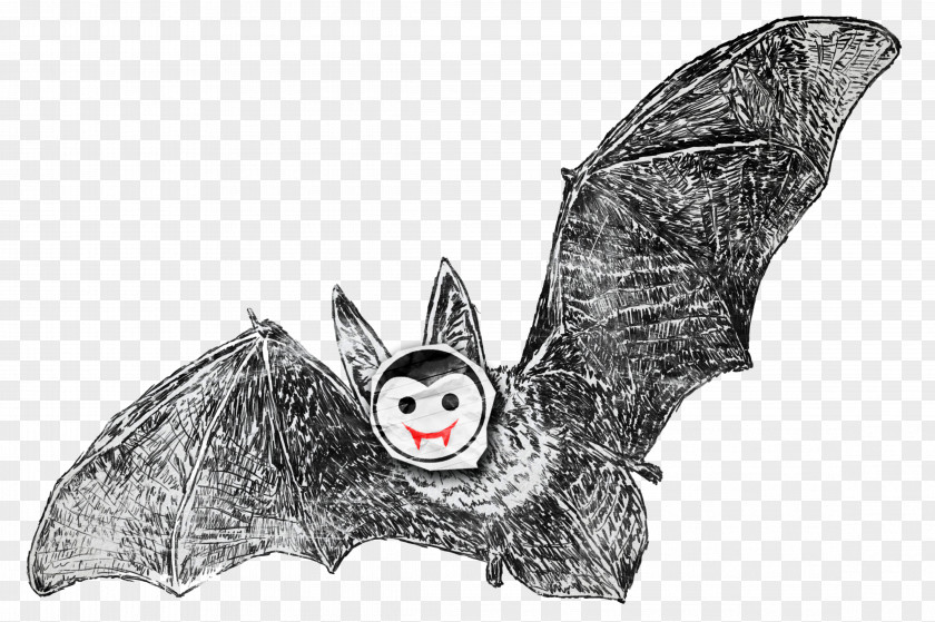 Vamp Drawing /m/02csf White BAT-M Legendary Creature PNG