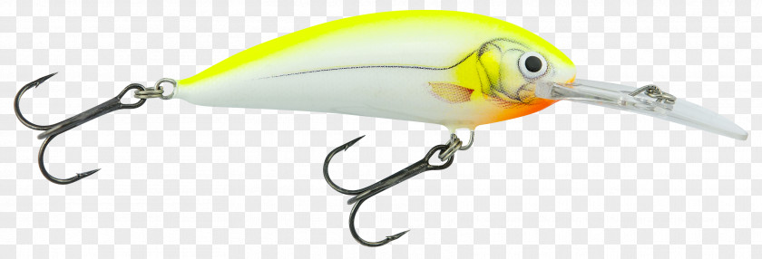 Fishing Bait Fish Baits & Lures PNG